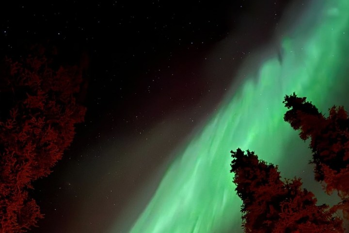 Green aurora borealis over dark sky with silhouetted trees on the side.