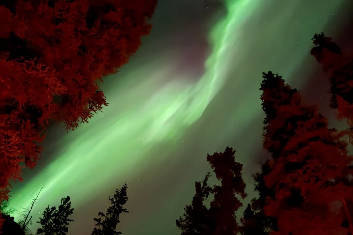 Green aurora borealis over silhouette of trees at night with red-lit foliage.
