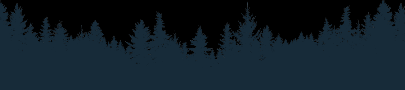 Silhouette of pine trees against a black background.